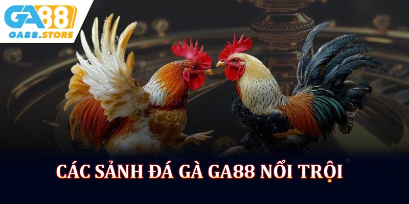 Các sảnh đá gà GA88 nổi trội